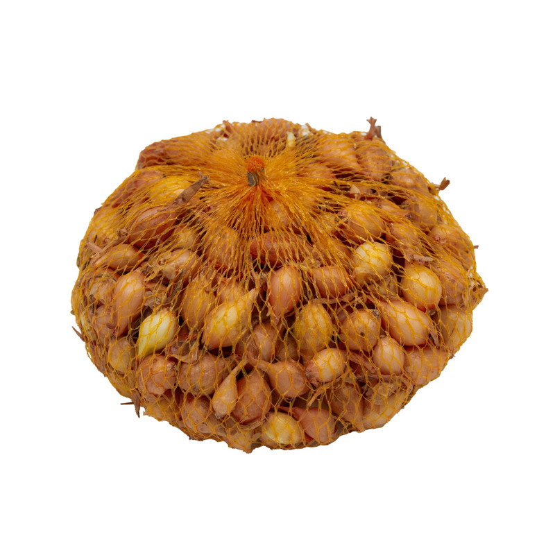 Sazečka balená Štutgartská  - 500 g        (+/-10% )