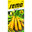 tykev cuketa YELLOWSTAR F1 1,5 g *** *