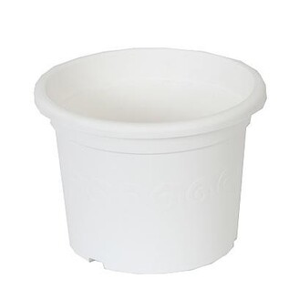květináč  Narcis bílá  23 cm