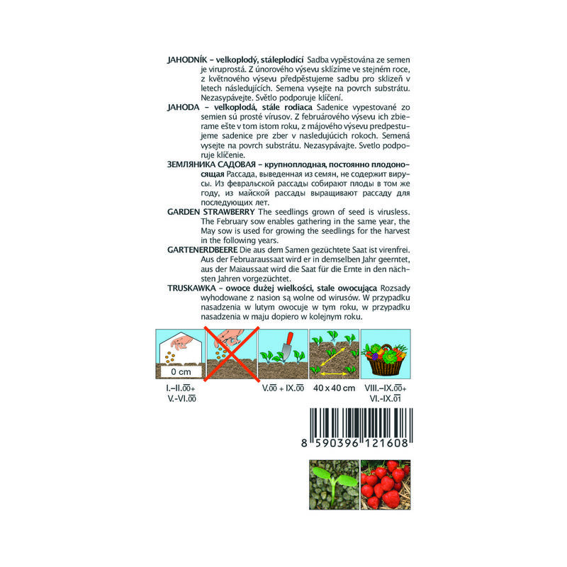 jahodník FLORIAN F1 12s. *** ***