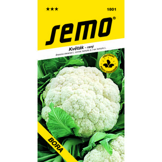 xkvěták BORA 0,5g ***