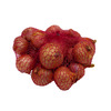 Sazečka balená ŠALOTKA červená - 500 g (+/-10%)