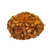 Sazečka balená Všetana - 500g   (+/-10%)   (Holandská) 