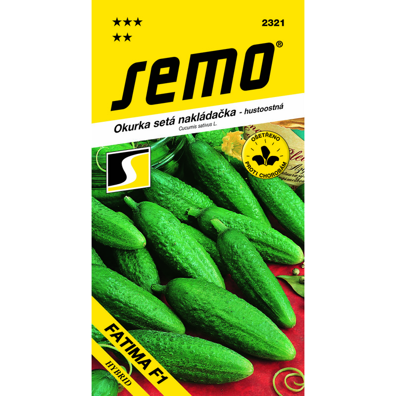 okurka FATIMA F1 2g *** **