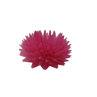 Jiřina pompon. RUŽOVÁ 23/2