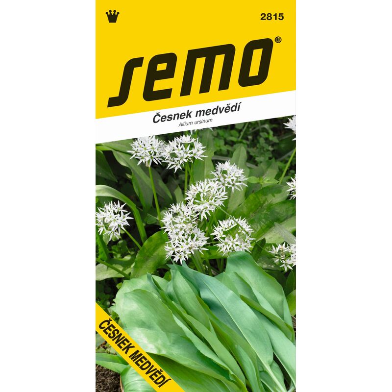 Česnek MEDVĚDÍ 1g *** ***