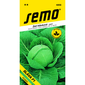 xzelí SLÁVA F1 50s. **