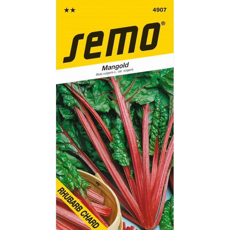 mangold RHUBARB CHARD 4 g **