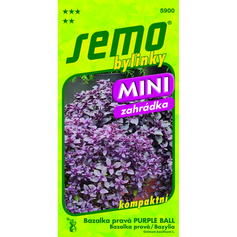 Bazalka pravá PURPLE BALL 20sem. *** **