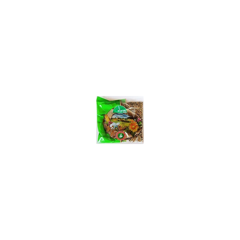 krmná řepa MONRO - sáček 100 g   červená