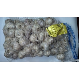 Česnek sadbový DUKÁT - 5kg ozimý paličák - licencovaný