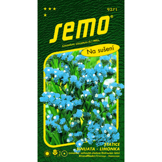 statice limonka AMETYST 0,5g *** *  /modrá/