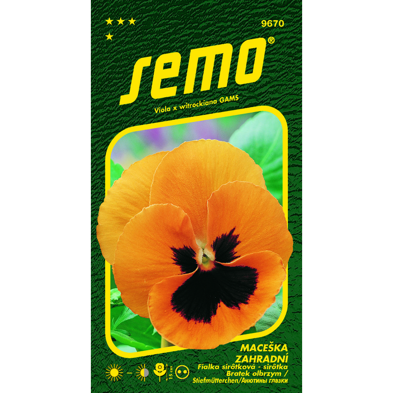 maceška ORANŽOVÁ 0,3g *** *
