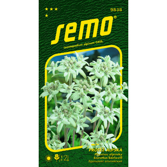 protěž alpská Edelweiss 0,1g *** *