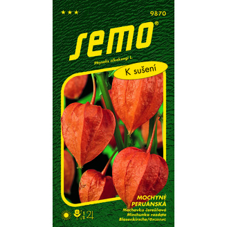 mochyně peruánská ORANŽOVÁ ***