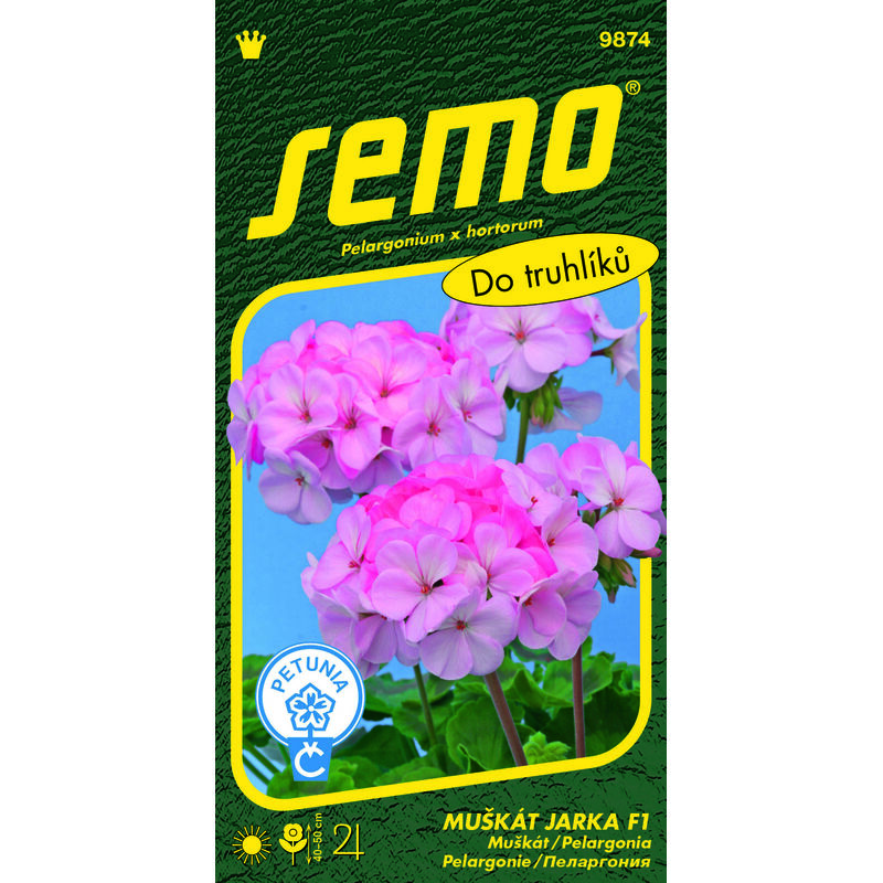 Muškát páskatý JARKA F1 11s. *** ***