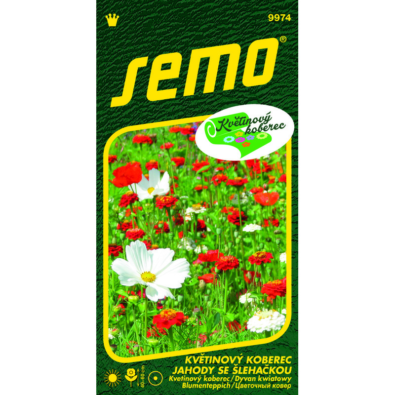 Květinový koberec JAHODY SE ŠLEHAČKOU 6g *** ***